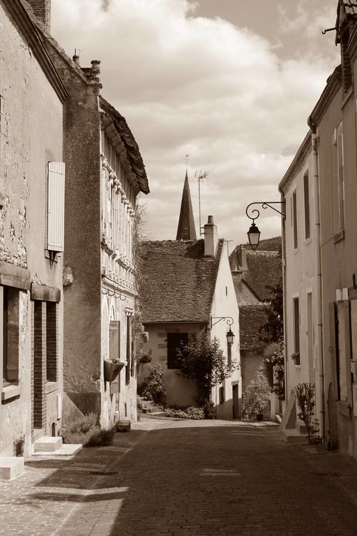 Mennetou-sur-CherLe Meuble Monestois别墅 外观 照片