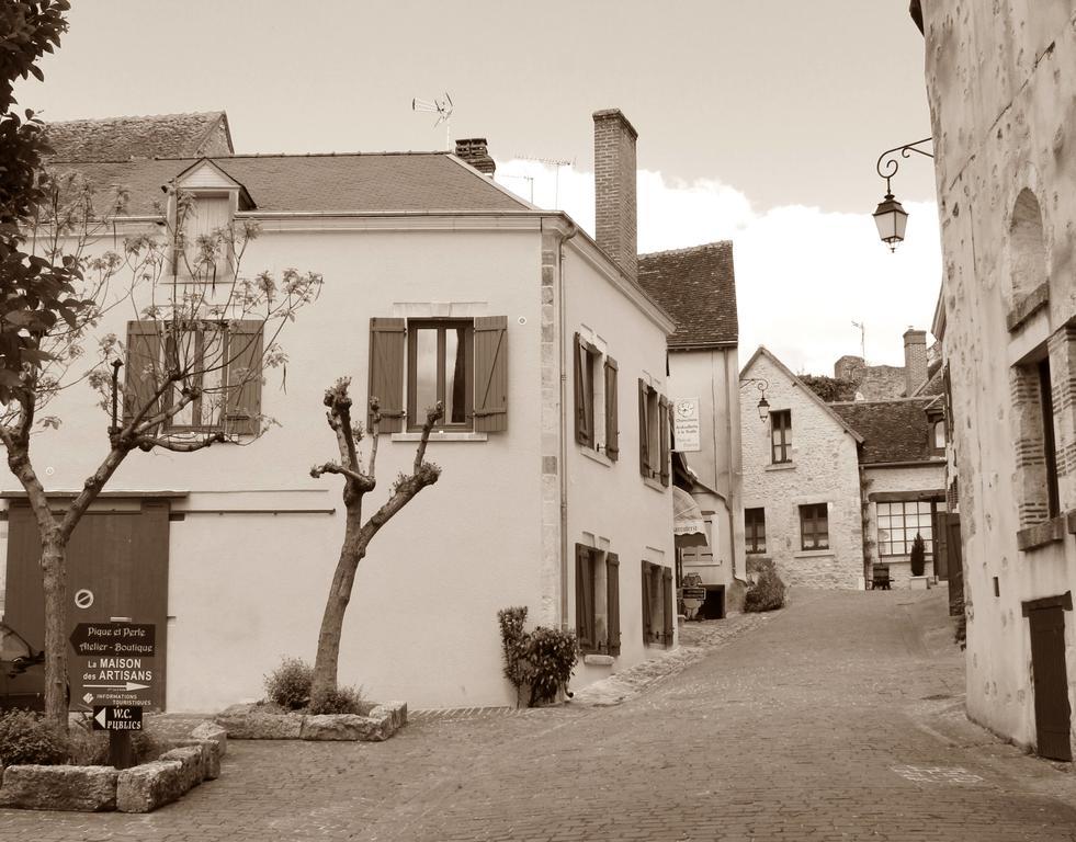 Mennetou-sur-CherLe Meuble Monestois别墅 外观 照片