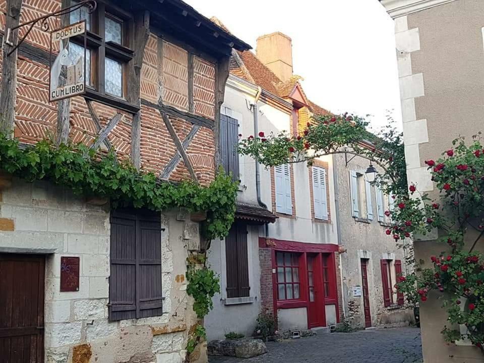 Mennetou-sur-CherLe Meuble Monestois别墅 外观 照片